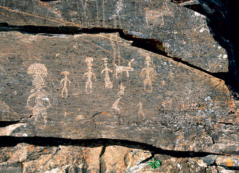 amanita rock art siberia