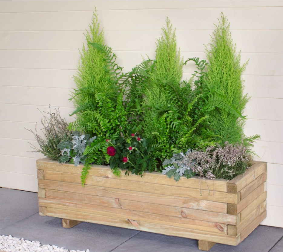 Forest Garden Agen Planter  | TJ Hughes