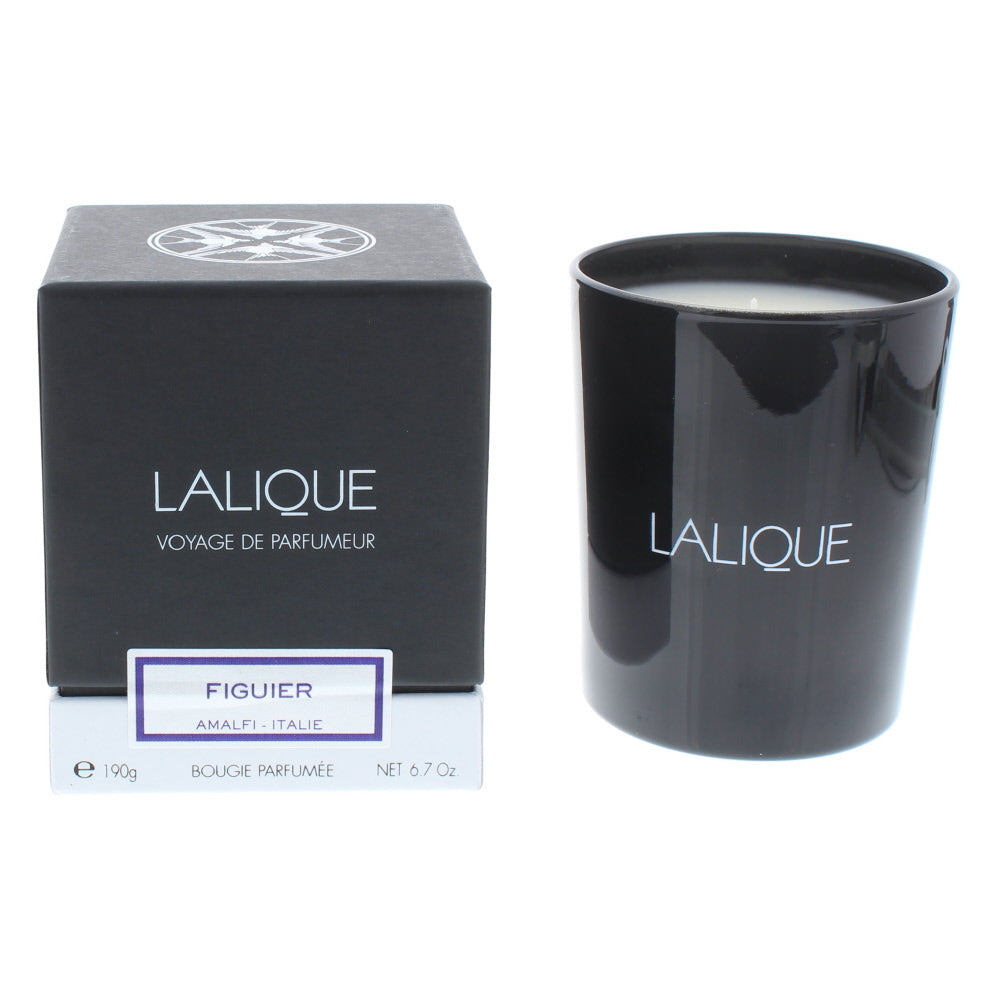 Lalique Figuier Amalfi Italie Candle 190g - TJ Hughes