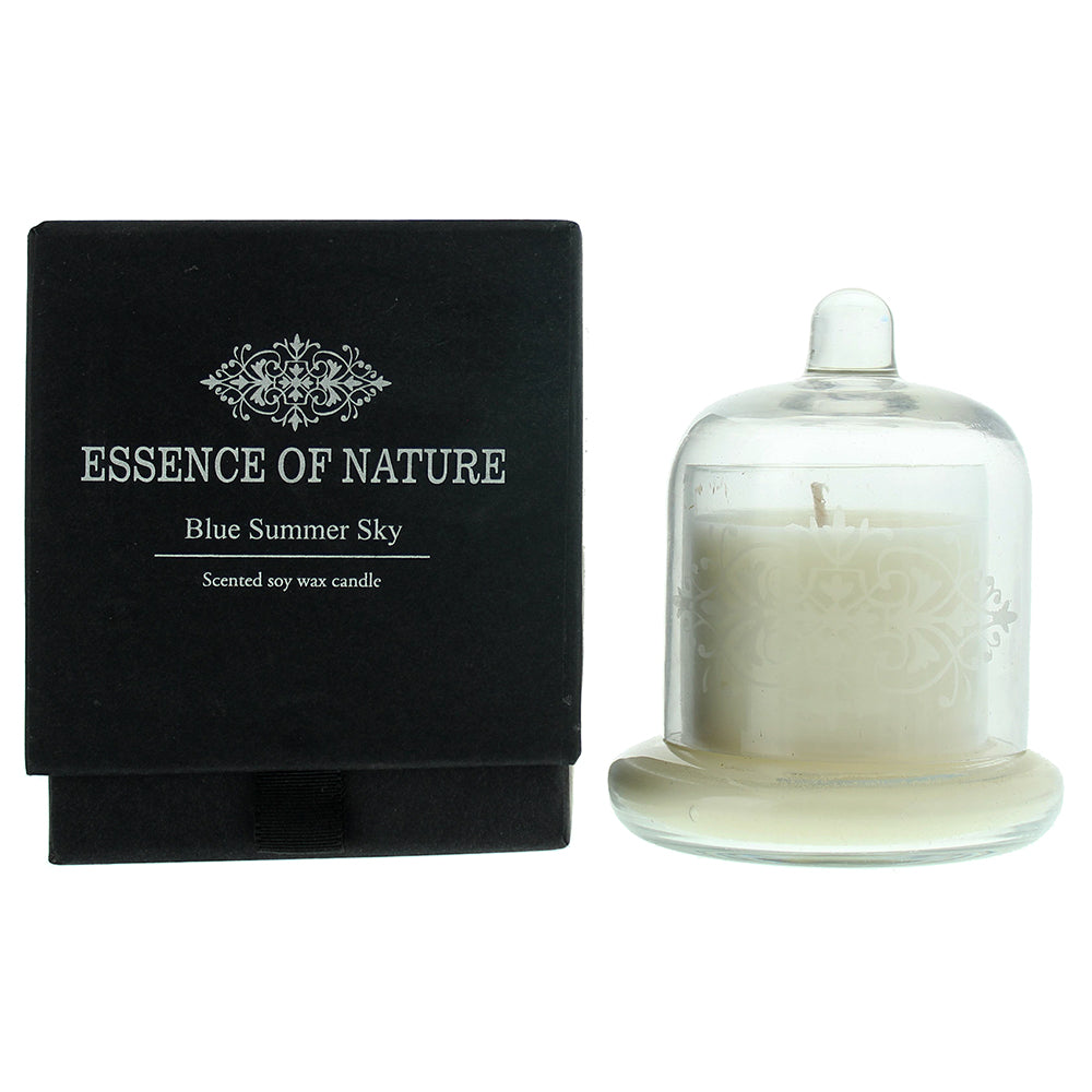 Liberty Candle Essence Of Nature Blue Summer Sky Candle 4.5oz - TJ Hughes