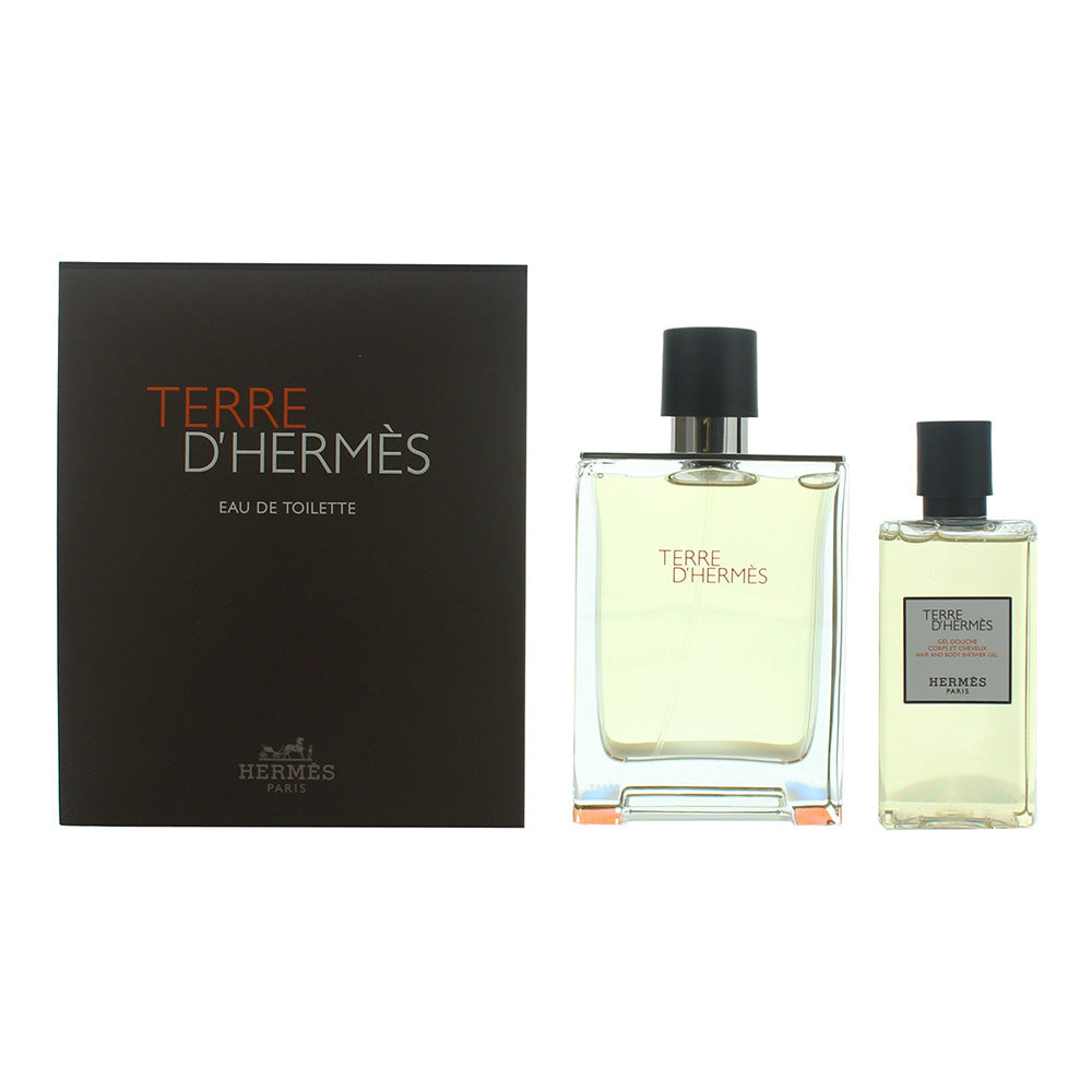 Hermès Terre D'hermès 2 Piece Gift Set: Eau De Toilette 100ml - Shower Gel 80ml For Him