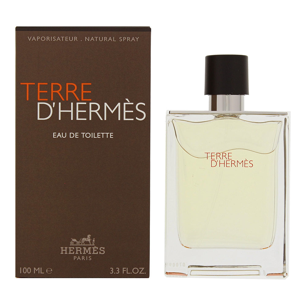 Hermes Terre D’hermes Eau De Toilette 100ml For Him  | TJ Hughes