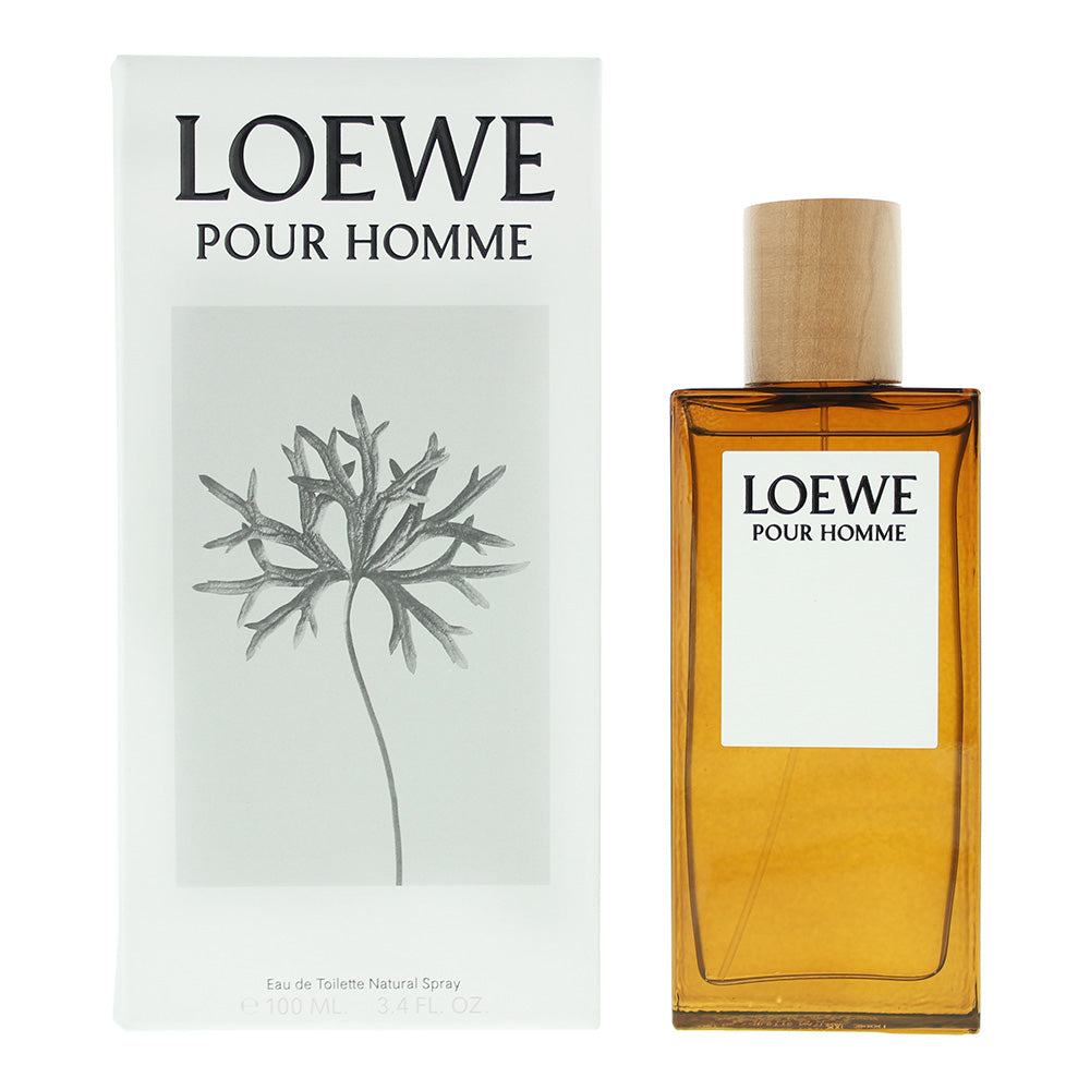 Loewe Pour Homme Eau De Toilette 100ml  | TJ Hughes