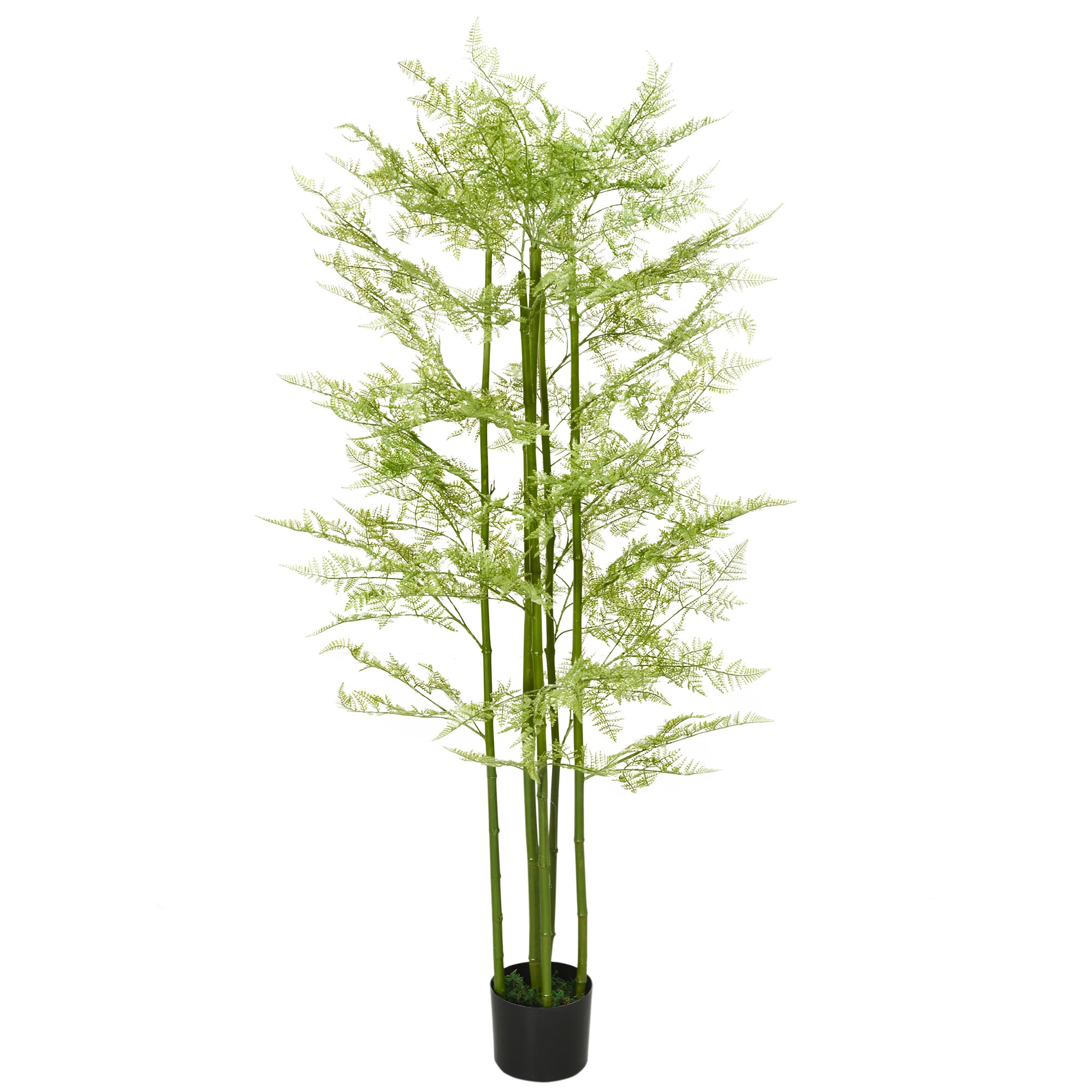 HOMCOM Potted Artificial Plants Asparagus Fern for Indoor Outdoor - 155cm  | TJ Hughes
