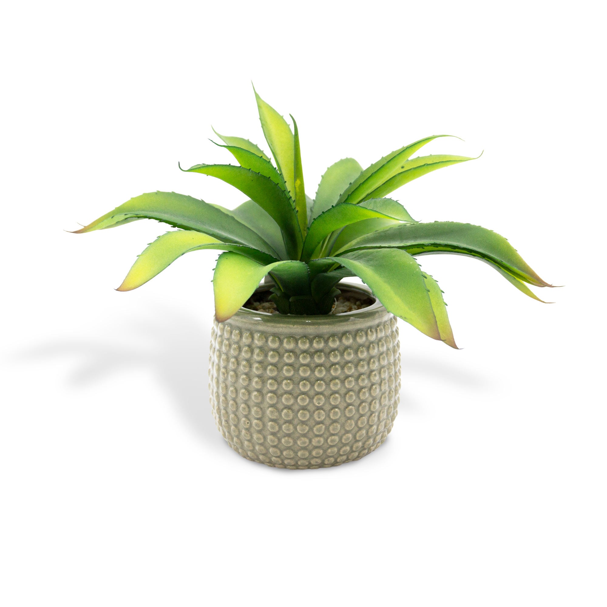 Artificial Agave Americana Plant in a Ceramic Pot 23cm - TJ Hughes