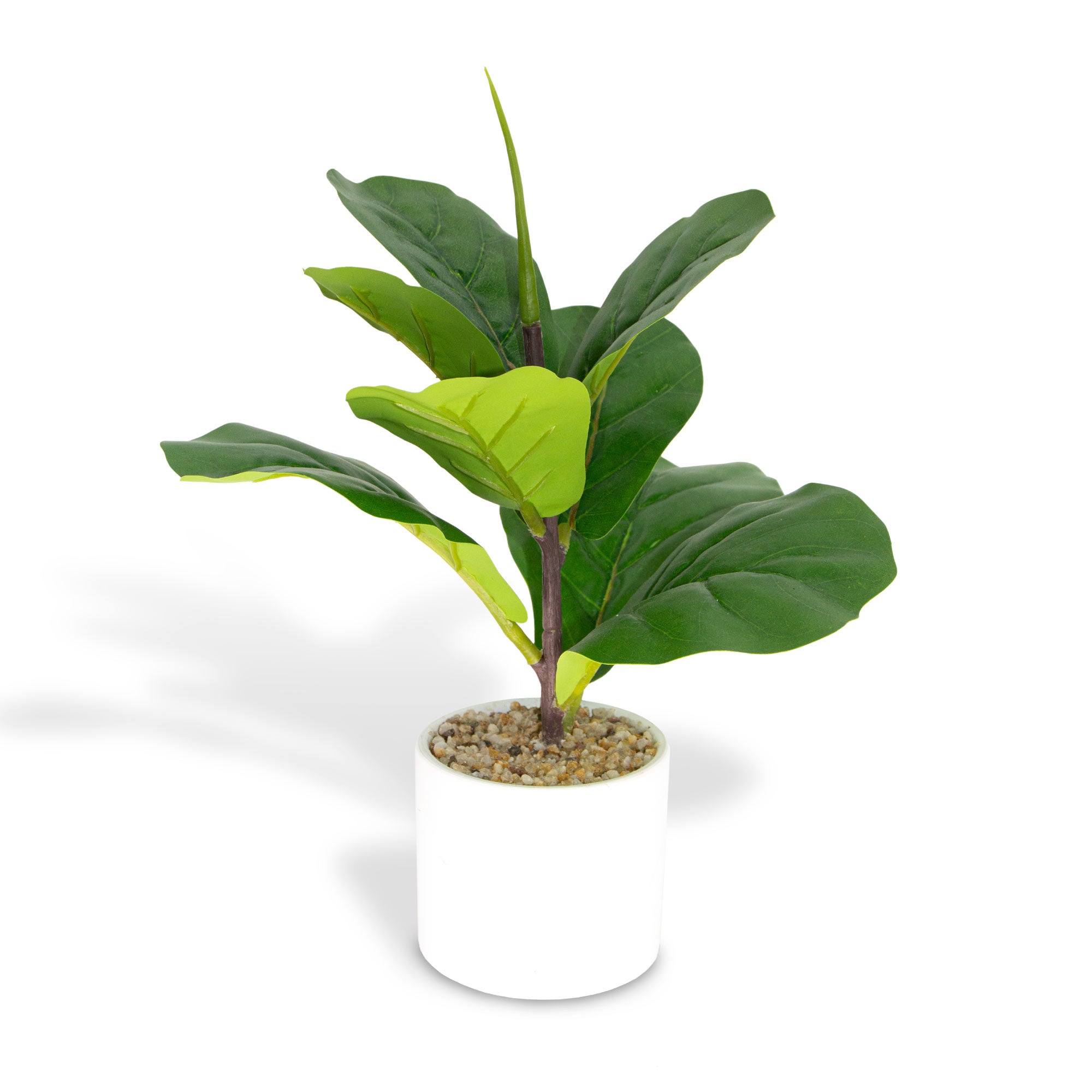 Artificial Ficus Lyrata in a White Pot 36cm - TJ Hughes