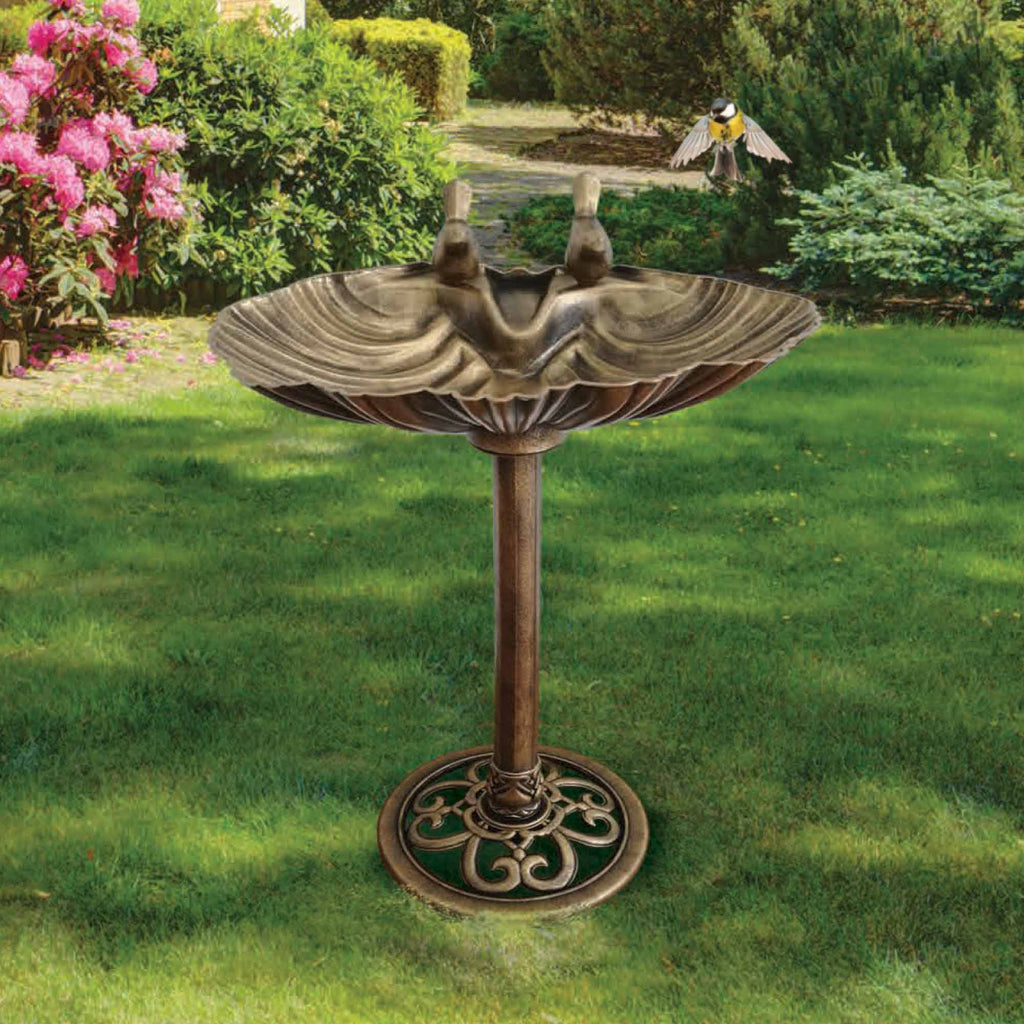 clam shell bird bath