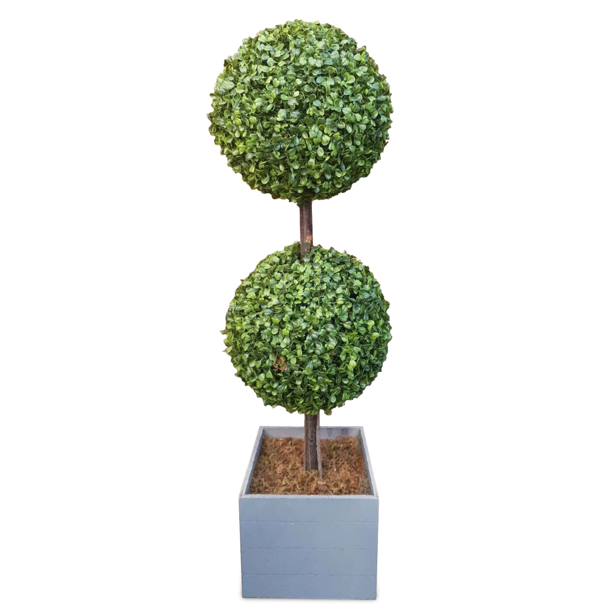Silver & Stone Artificial Double Buxus Boxwood Ball Tree Wooden Effect Grey Planter 89cmH  | TJ Hughes