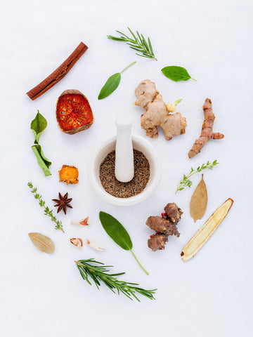 Ayurvedic herbs and spices on a white background