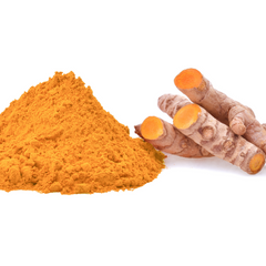 fresh turmeric root and dry turmeric powder on a white background