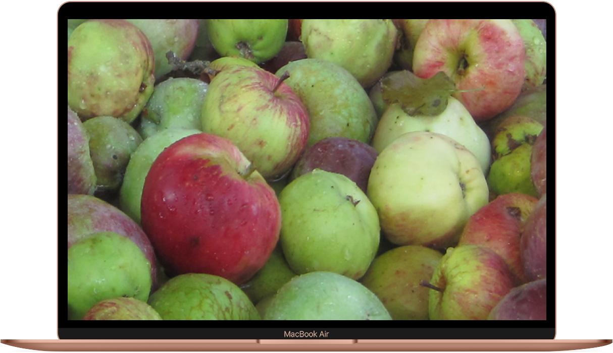 MacBook Air displaying less than perfect apples