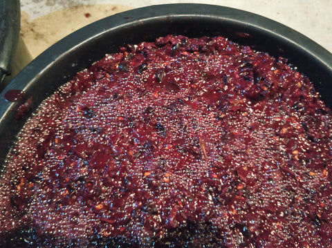 mosto sumo de uva em processo de fermentação