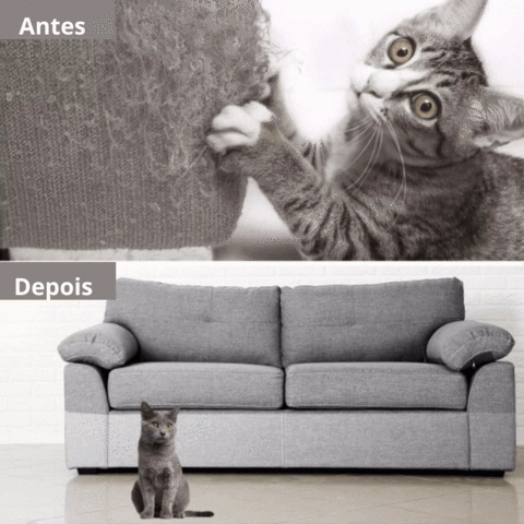 Comprar Protetor Adesivo Sofá - Anti-Arranhão Para Gatos – Socapa Brasil