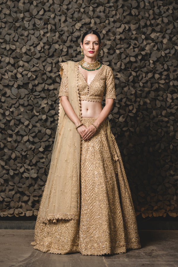 Golden Net Designer Lehenga Choli 217305