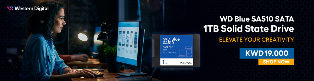 WD Blue SA510 SATA 1TB Solid State Drive