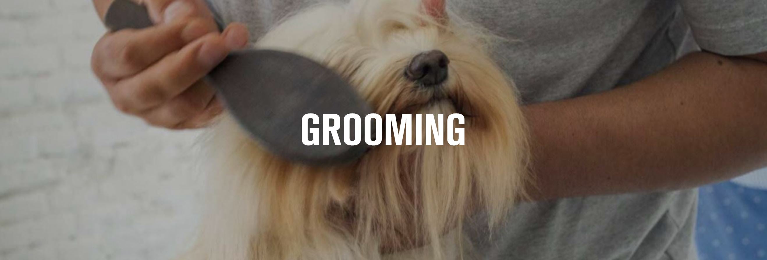 image of dog being brushed during a pet grooming appointment