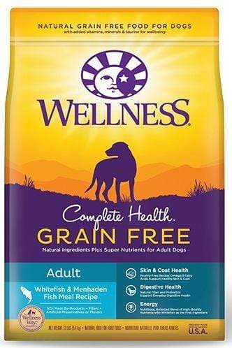 are of grain free dog foods safe