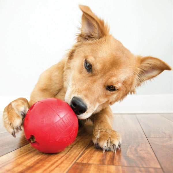 USA Made Dog Treat Wobbler by Kong Wobbler Treat Ball Large