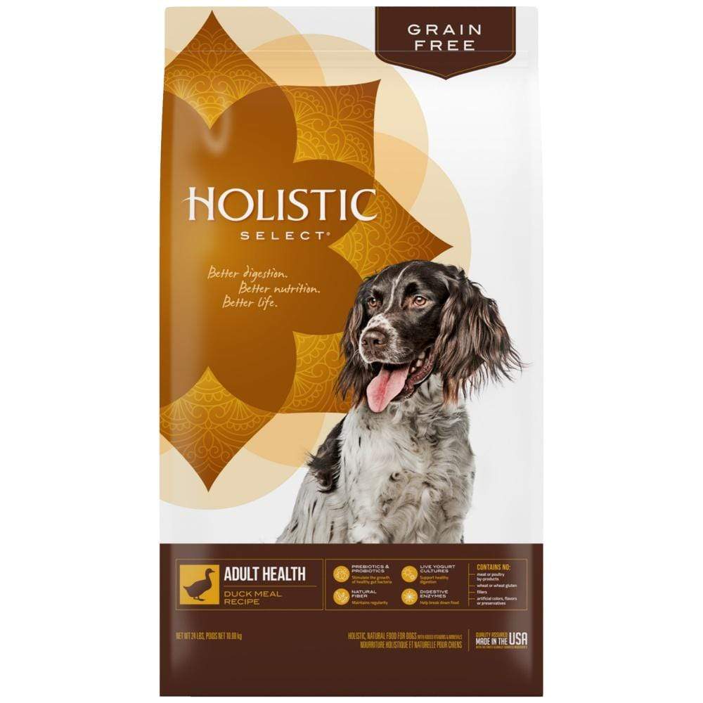 what is the best holistic dry dog food