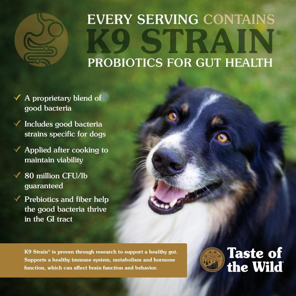 what is the best taste of the wild dog food