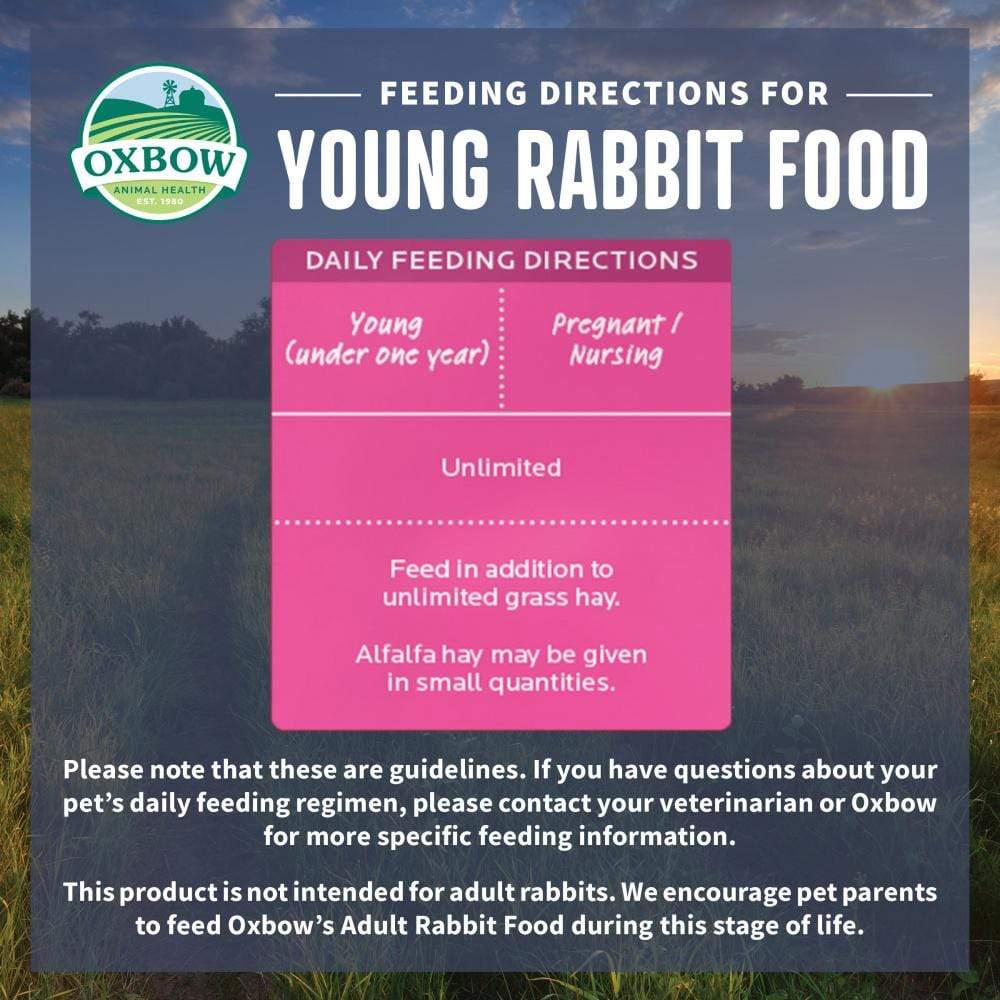 essentials young rabbit food