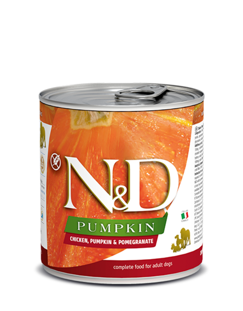 what canned pumpkin for dog