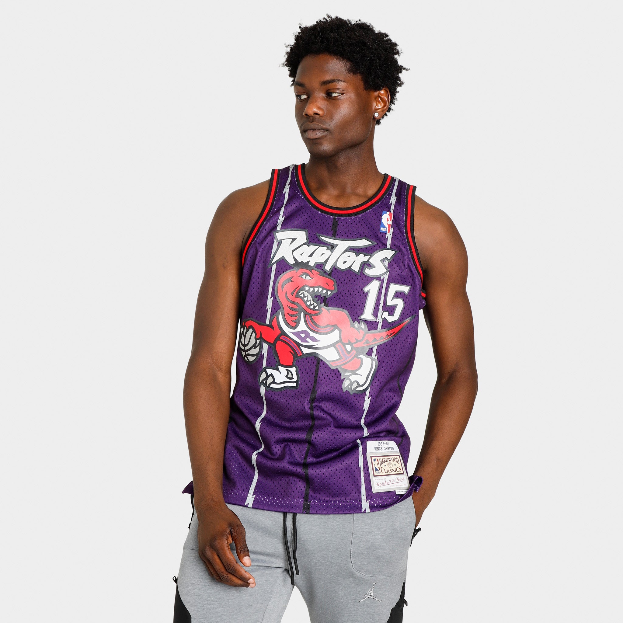 Mitchell & Ness NBA Toronto Raptors Vince Carter Swingman Jersey / Purple