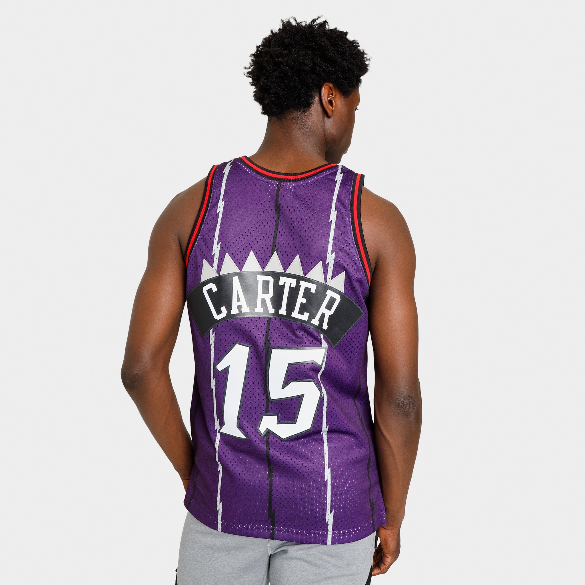 Mitchell & Ness NBA Toronto Raptors Vince Carter Swingman Jersey / Purple