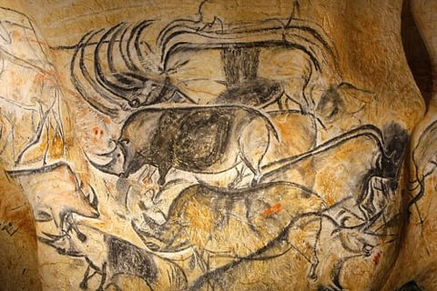 Cave painting animal depictions Grotte Chavet