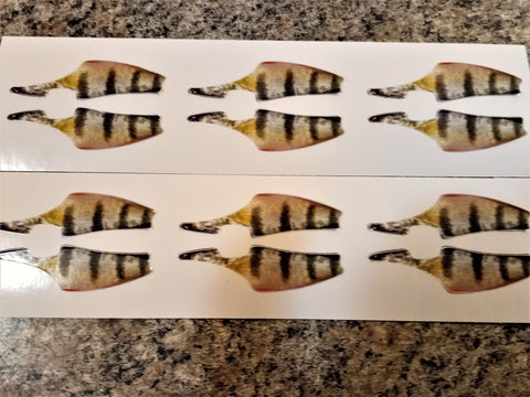 ONEIDA LAKE CUSTOM PRINTED FORAGE MINNOW BLADE BAIT DIE CUTS 6 PAIR BABY  PERCH