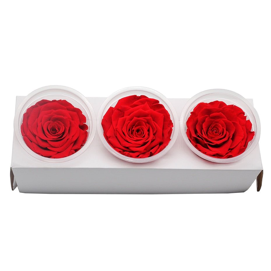 Roses Eternelle Rouge Boite ( Pack de 3 ) | Rose Eternelle La Boutique