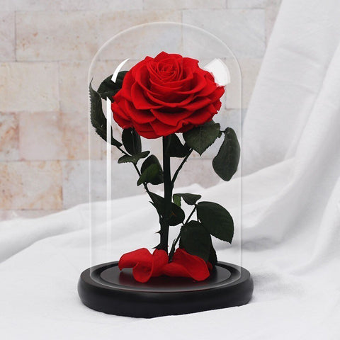 Rose Eternelle La Boutique | Fleur & Rose de Qualités