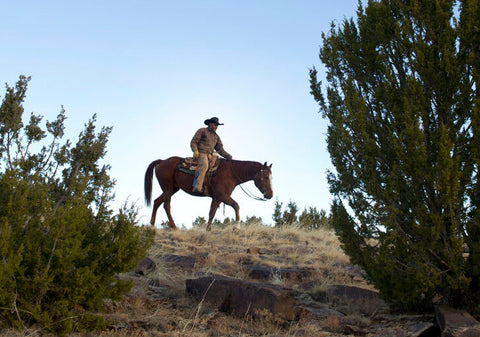 Rancho Largo in Colorado, conservation at work.