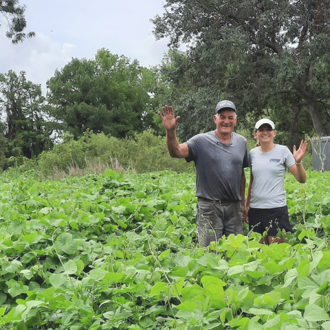 Bob Fenton, Co-Owner Shadowood Farm with Laurie Scott, Farm Manager A Real Organic Certified Farm in Florida