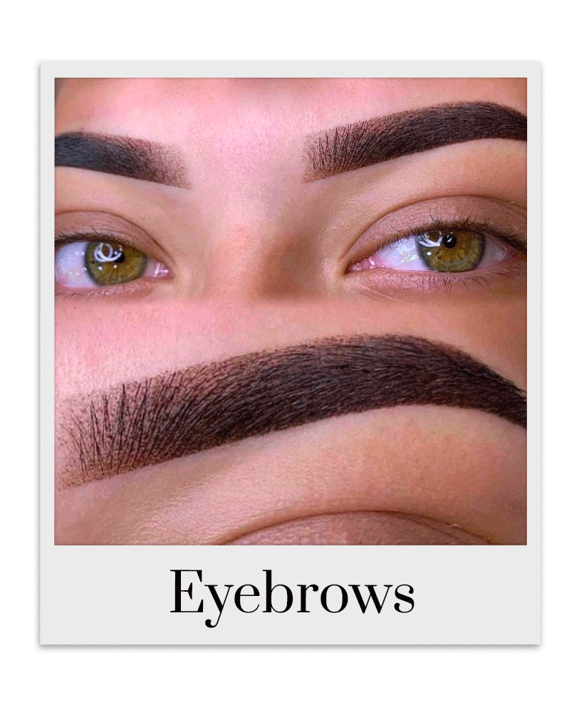 Eyebrow Pigments