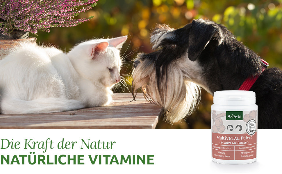 Vitamine für ein gesundes Immunsystem