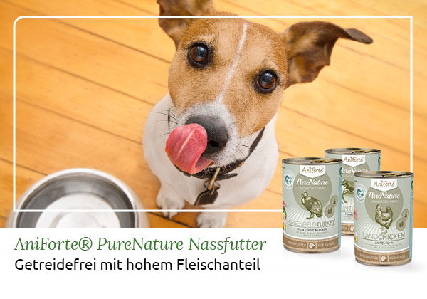 Nassfutter-ohne-Getreide