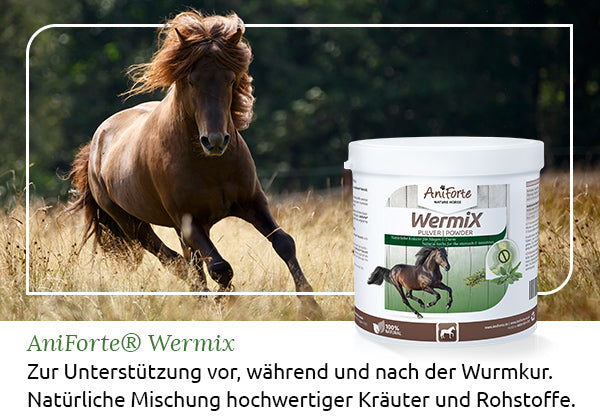Wermix für Pferde