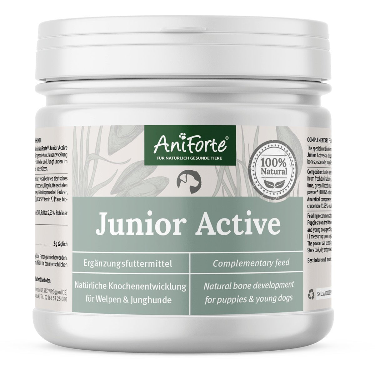 Junior Active