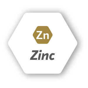 Zinc.png__PID:62675535-3cbe-4f5c-a4b1-628f3c0d5581