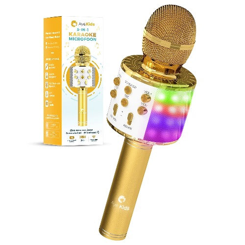 Karaoke Microfoon