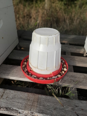 Sugar water in a feeder provides the bees a supplemental food source