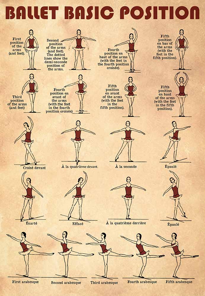 Ballet Basic Position-MH2608