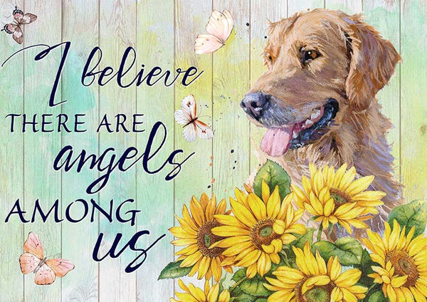 I Believe Angels Among Labrador-TT2409