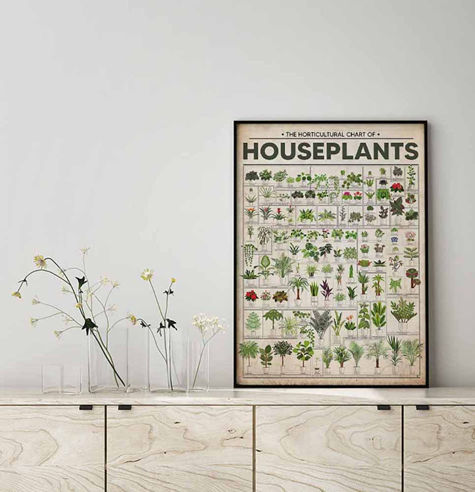 The Horticultural Chart Of Houseplants-MH3108