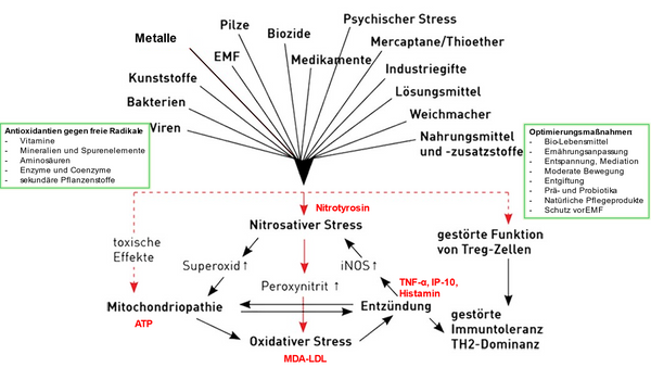 Stress Grafik