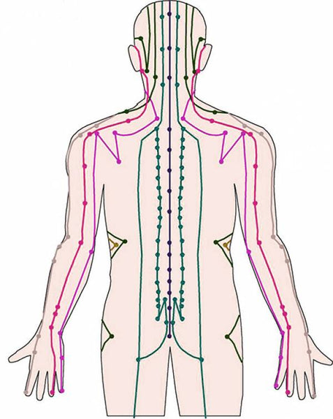 meridian body