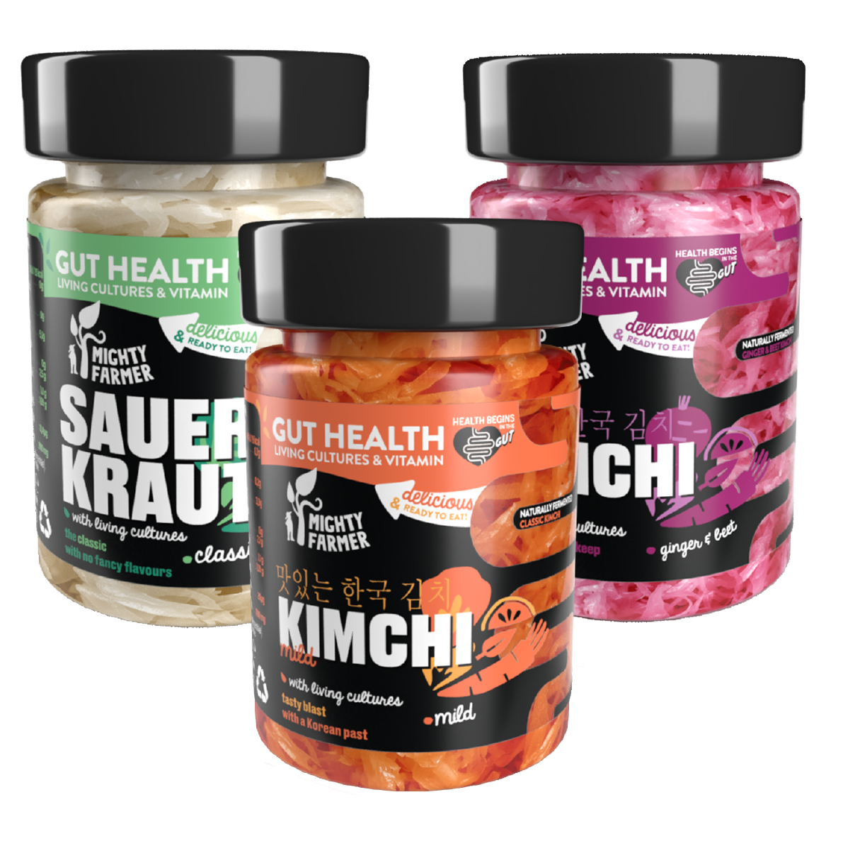 Sauerkraut & Kimchi Pack Prueba Multi-Sabores