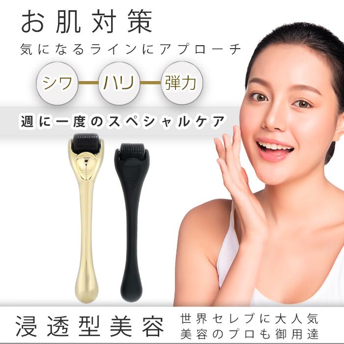 ダーマローラー0.25mm／0.5mm セット - 美顔用品