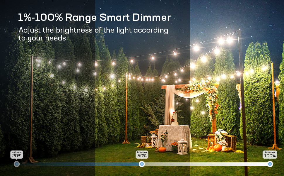 Smart Outdoor Dimmer, WiFi Plug-In Light Dimmer Switch for LED String Light, Wireless Remote Control Dimming-350W, Outdoor Plug Works with Alexa